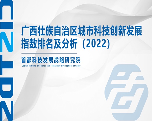 粗硬抽插啊……哦【成果发布】广西壮族自治区城市科技创新发展指数排名及分析（2022）